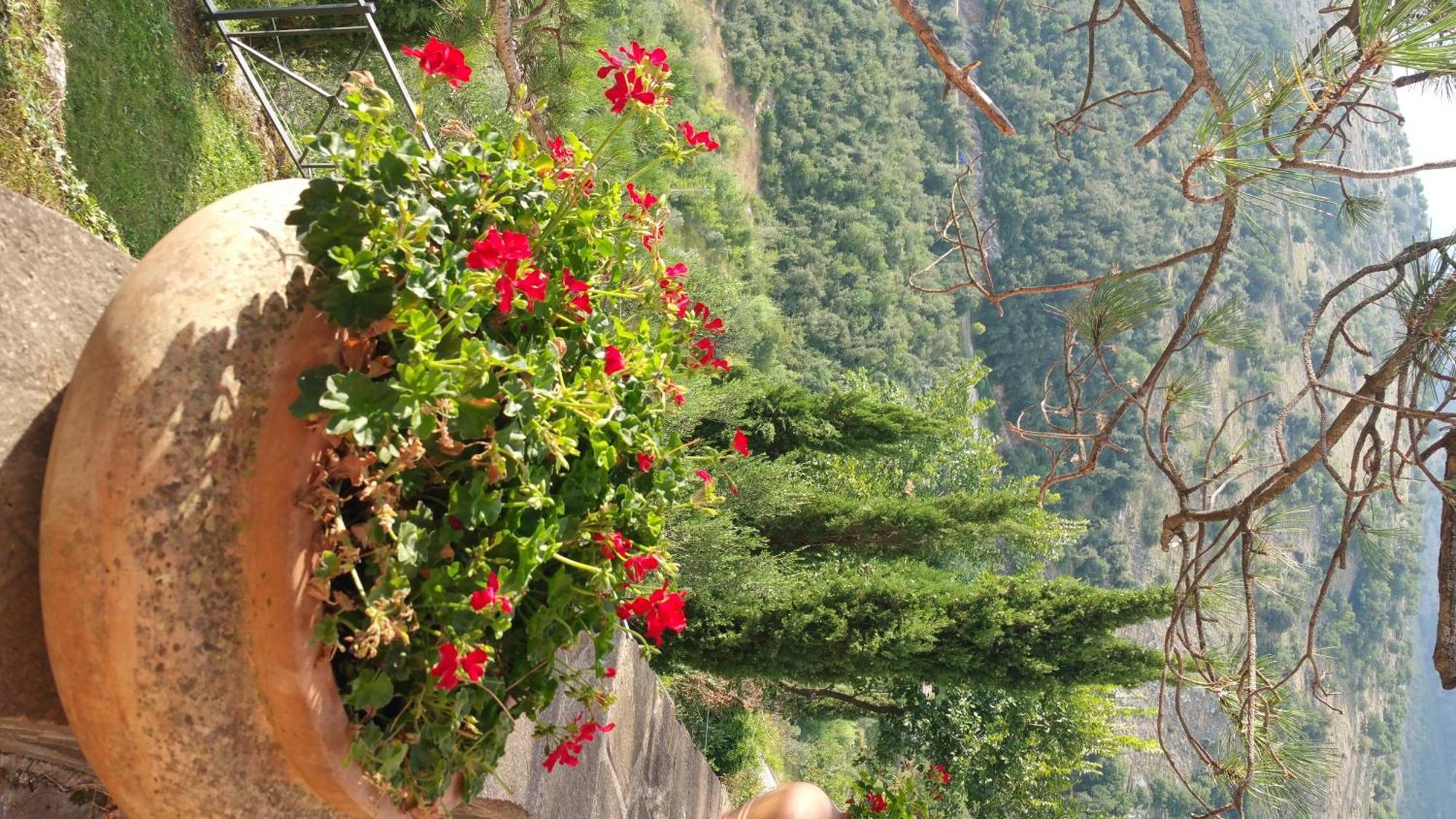 La Codarda Country House Pescosolido 外观 照片
